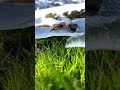 #shorts #shortvideo #uzbekistan #mountains #winter