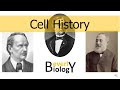 Cell Structure and Function Concepts