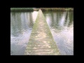 Culture Beauty and Human Emotions - Autumn  秋  /  もし涙のプール。