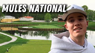 Playing Mules National - 18 Holes