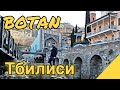 Тбилиси с BOTANom