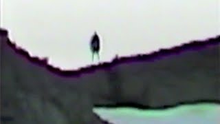 Marble Mountain Bigfoot 'Original Video'