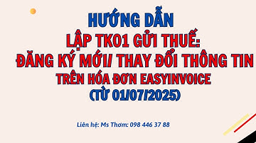 HƯỚNG DẪN ĐĂNG KÝ TK01 MỚI, THAY ĐỔI THÔNG TIN TRÊN EASYINVOICE (TỪ 01/07/2025)