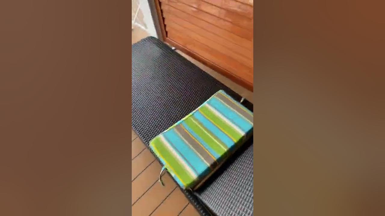 carnival mardi gras havana extended cabana