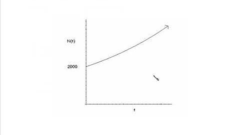 Application of Exponential Functions II