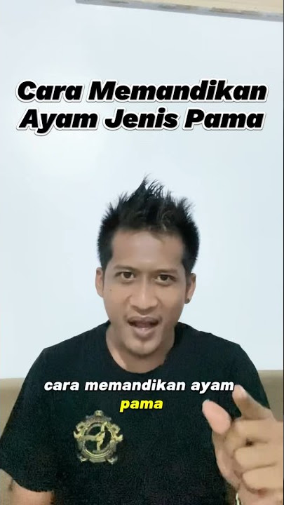 Cara Memandikan Ayam Jenis Pama