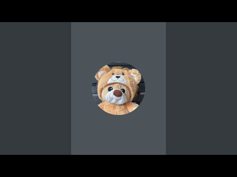 Bäry überträgt einen Livestream.