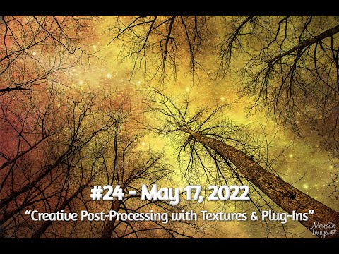 2022 05 17 Meredith Images #24 Creative Post Processing with Textures & Plug-Ins