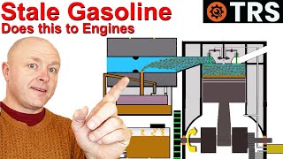 Stale Gas 2 Stroke & Four Stroke Engine wont Start/not Running Correctly  (by Craig Kirkman)