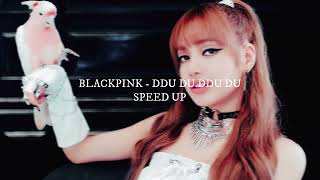 BLACKPINK - Ddu Du Ddu Du (sped up)