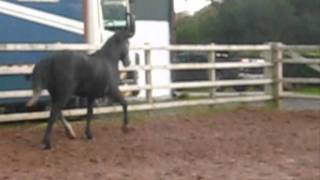 Loose schooling the pixiebum!