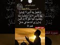 سورة الشورى الآية 18