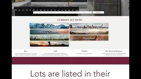 Online Auction Process