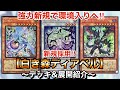 【遊戯王】1枚初動で強力展開‼︎新規採用白き森ディアベル【デッキ&展開紹介】