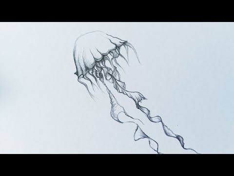 Video Drawing Jellyfish Tattoo, Vẽ Hình xăm con sứa đẹp - youtube