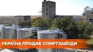 Велика приватизація. Україна продає 41 державний спиртзавод
