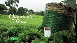 Quintinos Tea 25 Sachet