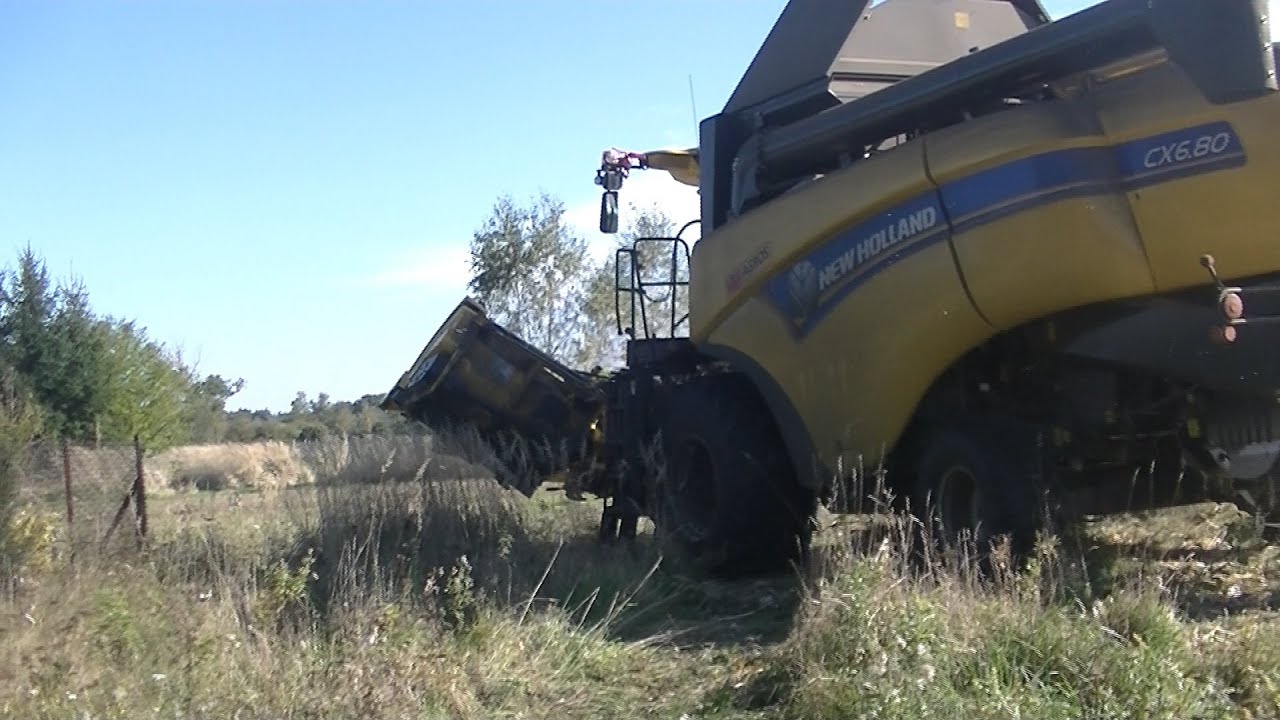 Koszenie kukurydzy na ziarno 2021