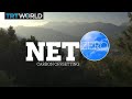 NET ZERO: Carbon Offsetting