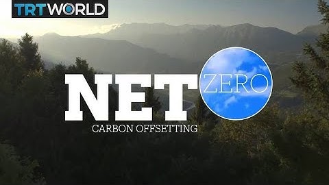 NET ZERO: Carbon Offsetting