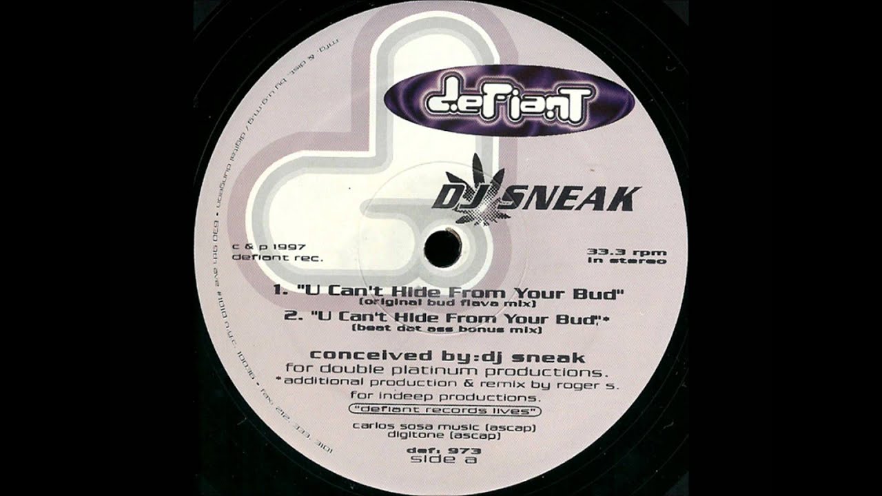 DJ Sneak - U Can