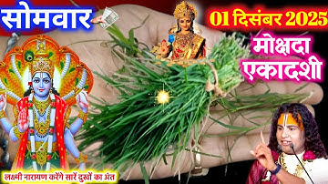 1 दिसंबर मोक्षदा एकादशी पर 😱 दूर्वा घास का उपाय करेगा 100 परेशानियों का अंत गरीबी खत्म😱#upay #vastu 
