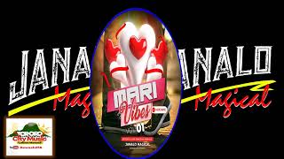 Mari Vibes Mixtape Vol 01 2026  janalo Magical Mixed U0026 Mastered By bmd 