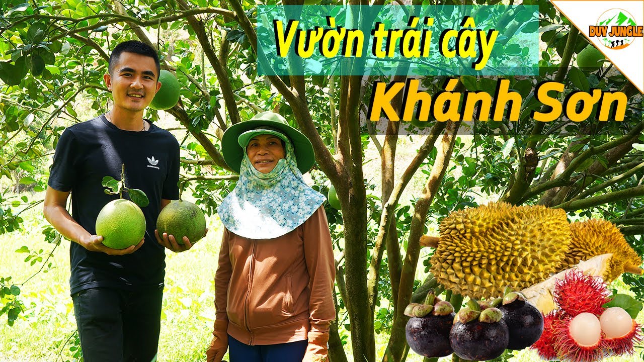 Khám phá Vườn Trái Cây Khánh Sơn: Sầu Riêng, Măng Cụt, Bưởi, Chôm Chôm