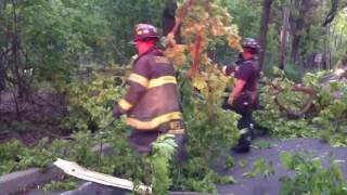 See firefighters remove fallen tree