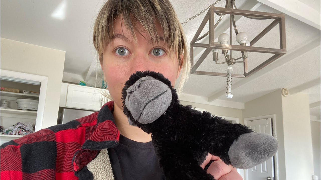 Our Dispatch Methods Using Stuffed Animals YouTube