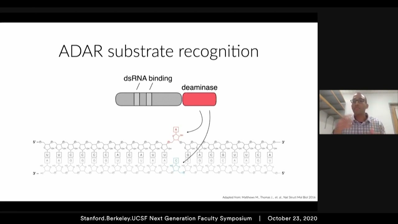RNA editing with CRISPR Cas13