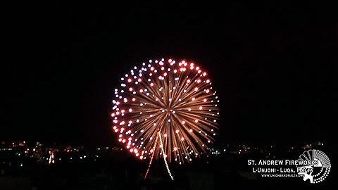 Some Shells from Friday - Feast of Saint Andrew 2015