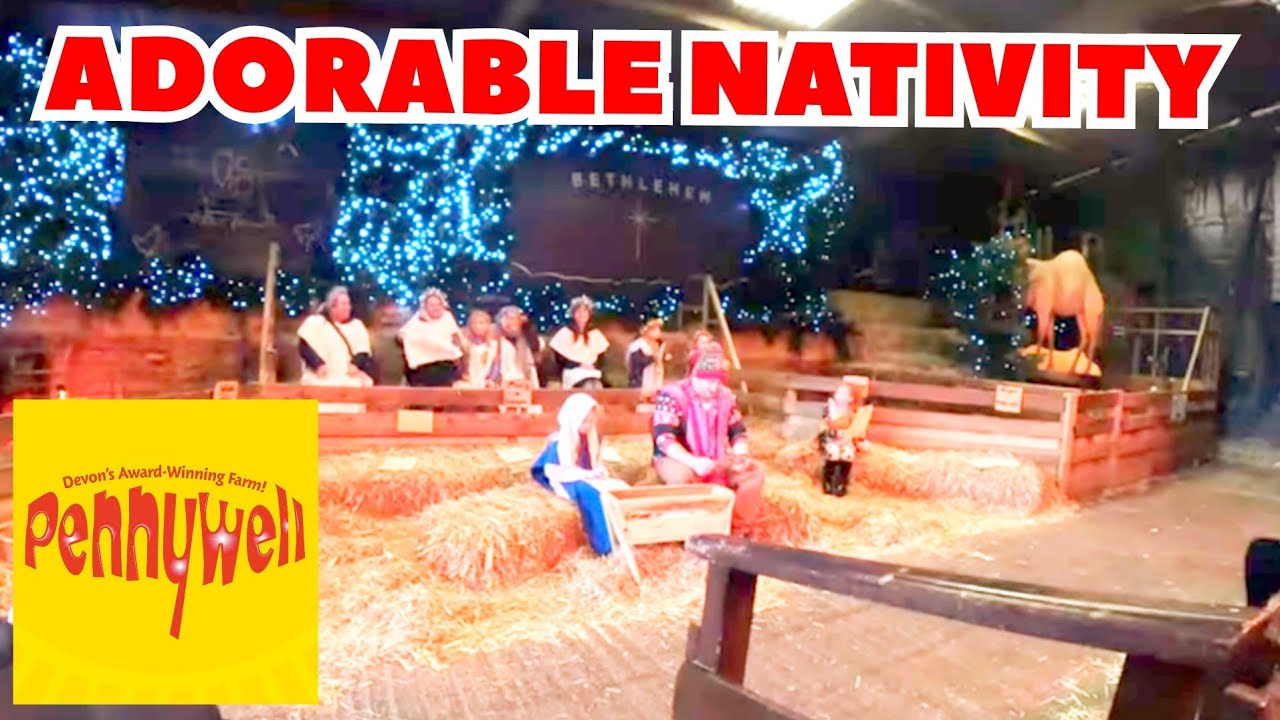 Adorable Nativity At Pennywell Farm Christmas 2024