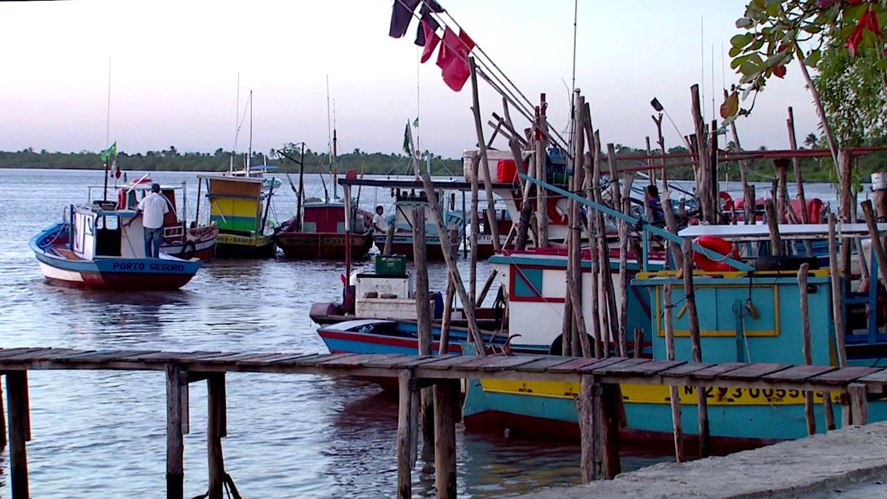 Abrolhos O Santuário Marinho