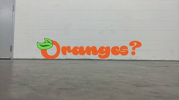 MIT RSS 2019 Team 5 Final Challenge