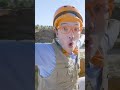 Dinosaur Facts with Blippi! Blippi #Shorts