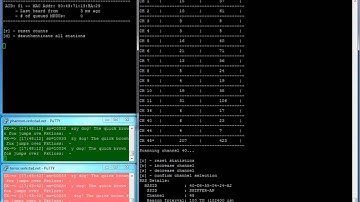 WiFi Channel Utilization Assessment with Sniffer (WARP)