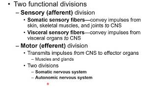Chapter 12B - Nervous System   Functions and PNS Divisions