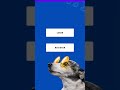 Complete Android App with Source Code: Find & Manage Dog Food Easily! #android #git #code #2025 #yt