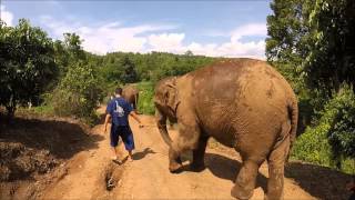 Thailand 2015 Movie HD