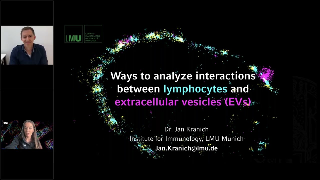 Ways to Analyze Interactions between Lymphocytes and Extracellular Vesicles (EVs)