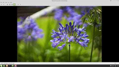 How to resize images in Linux Mint 19.2