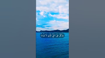 #القران الكريم { وتوكل على الحي الذي لا يموت } | حالات واتس اب 💜✨