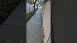 65- Orange county sheriff's Harassing me. #harassment #gangstalking #702FISAabuse