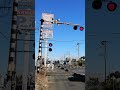 変な音の踏切 #shorts