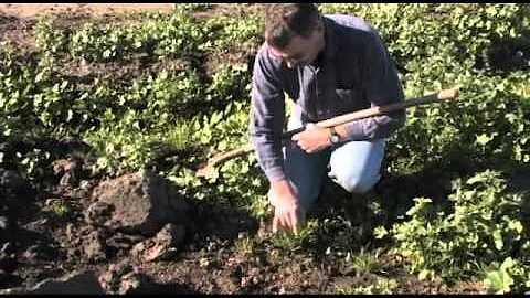 Principles of Weed Control - Part 3 of 5