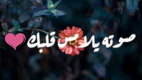 يوسف الصقير تلاوة خاشعة لسورة القيامة