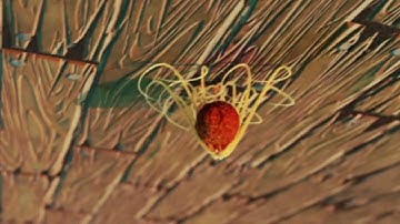 《Tasting Fantasy》 Spaghettis Mimic | Blender 3D | Procedural & Geometry Nodes