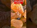 خواص کندر را بیشتر بشناسید خواص کندر را بیشتر بشناسید