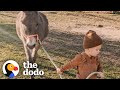 Kid And His Donkey Are Truly BFFs | The Dodo